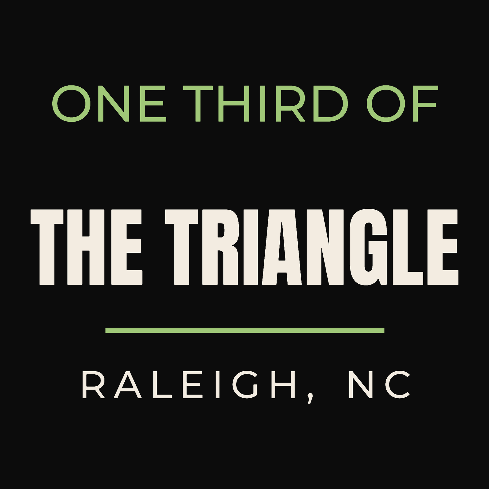 Close-up of the Raleigh, North Carolina design on black: One Third Of The Triangle