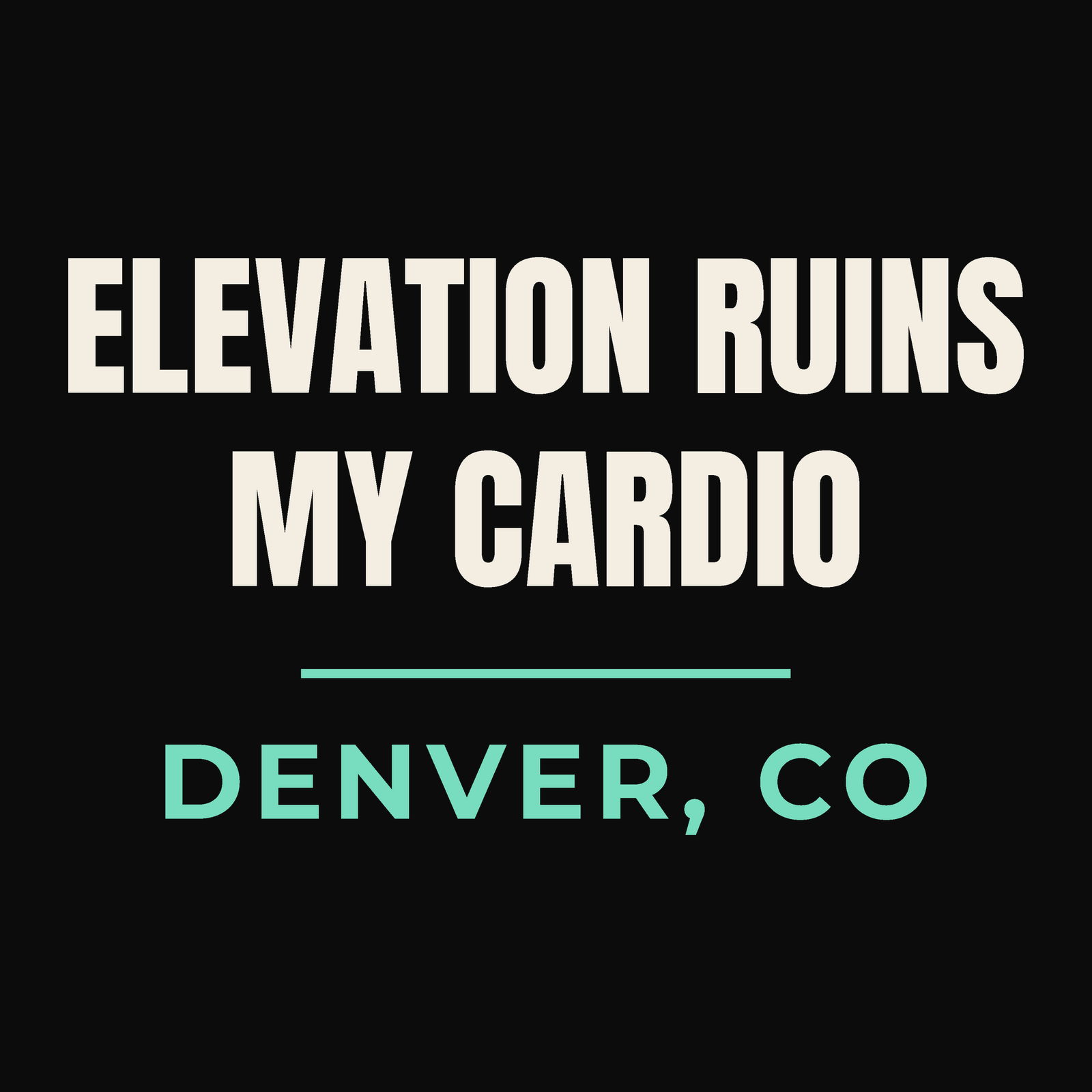 Close-up of the Denver, Colorado design on black: Elevation Ruins My Cardio
