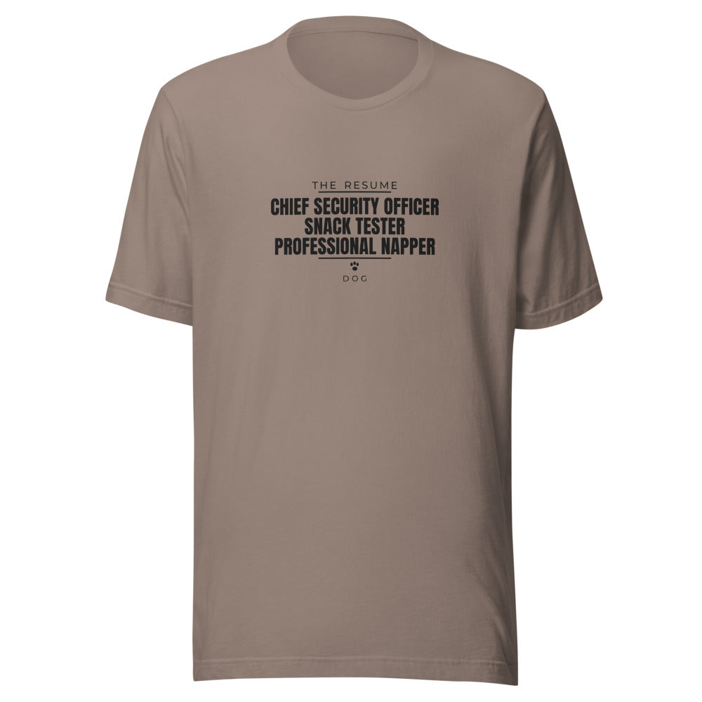 Tee that says Chief Security Officer Professional Napper