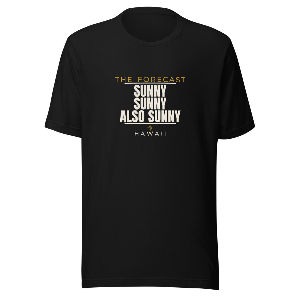Hawaii tee that says Sunny, Sunny, Also Sunny