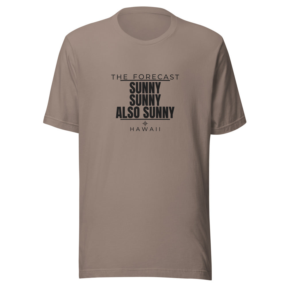 Hawaii tee that says Sunny, Sunny, Also Sunny